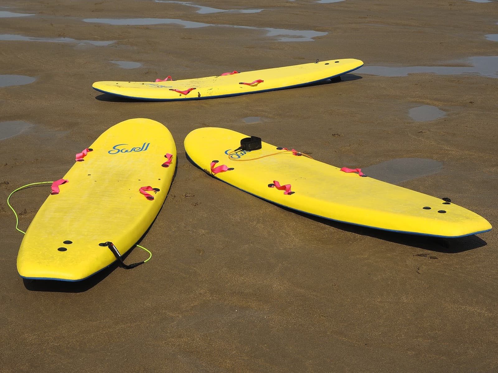 Three yellow soft-top surfboards with leashes lying on wet sand at low tide