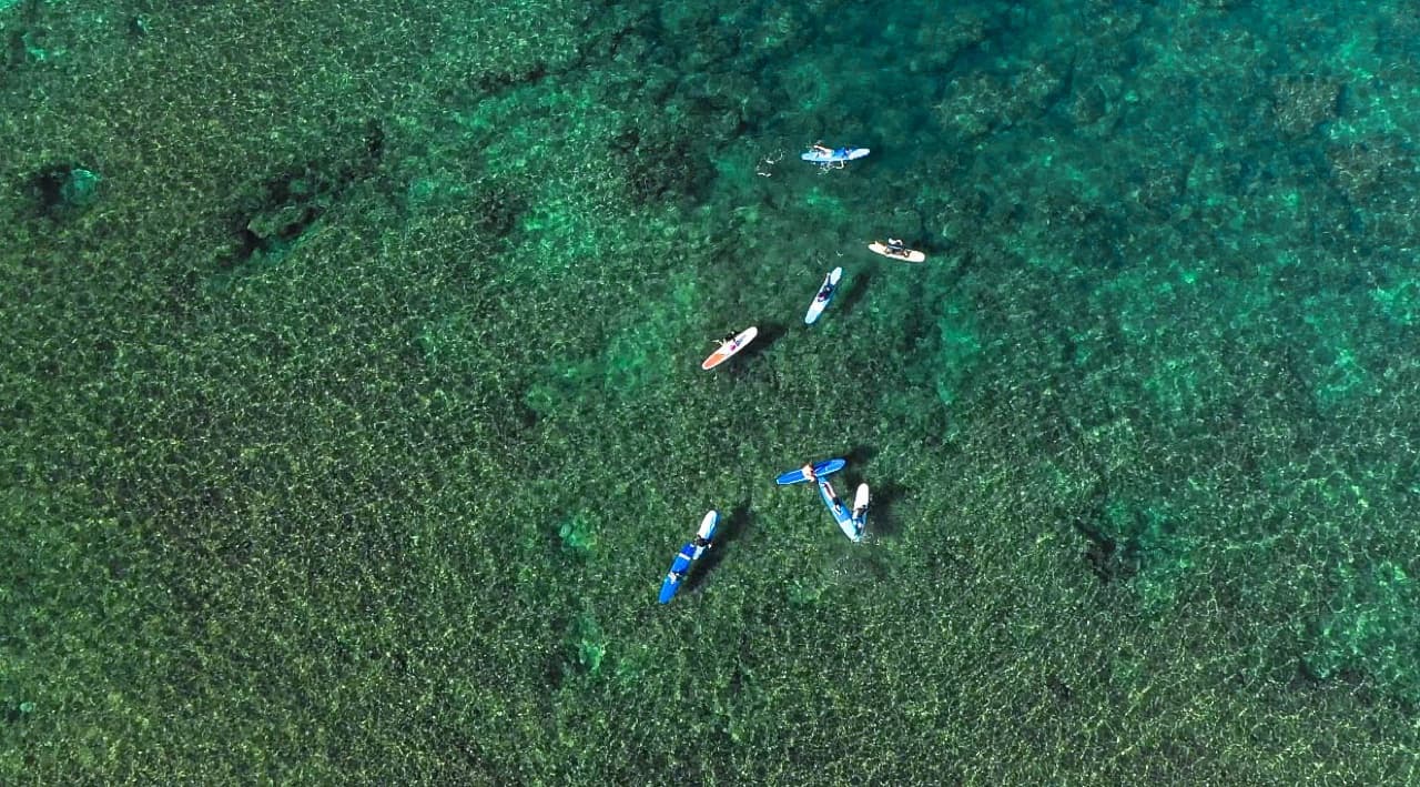 Aerial view of beginners on soft-top surfboards in clear shallow water