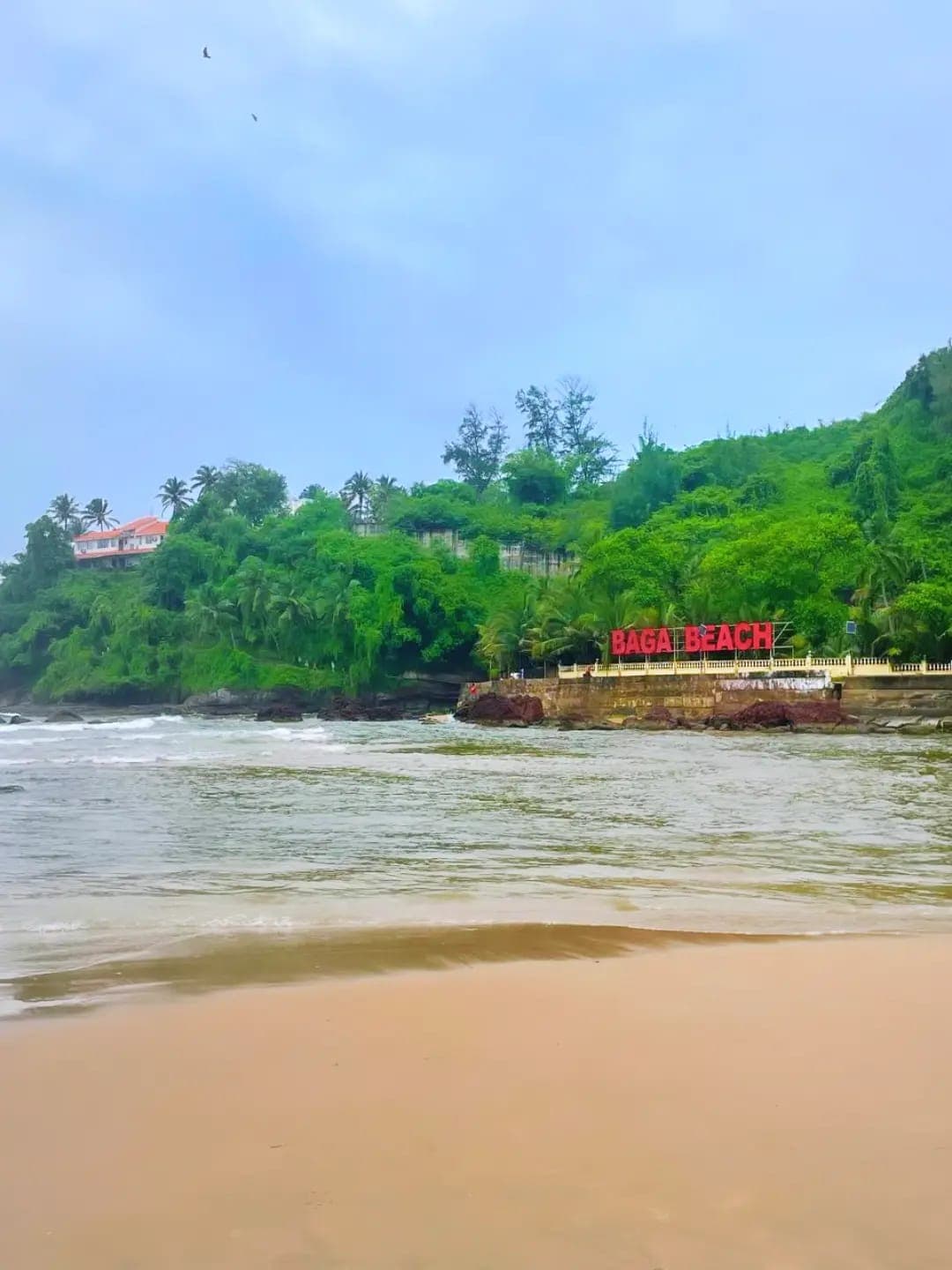 Waves washing onto the sand at Baga Beach, with a red Baga Beach sign on a green, tree-covered headland