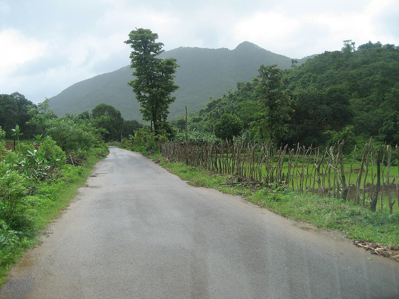 A quiet paved road on the way to Cotigao, with a wooden stick fence, green fields and a forested hill under cloud