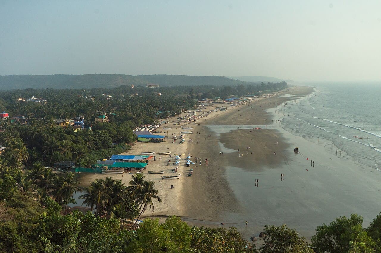 Arambol beach seen from above, a long stretch of sand with shacks and palm trees along the shore