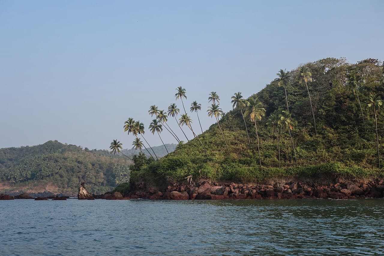 Coconut palms leaning over a green hill on Cola Bay, with laterite rocks along the edge of calm water