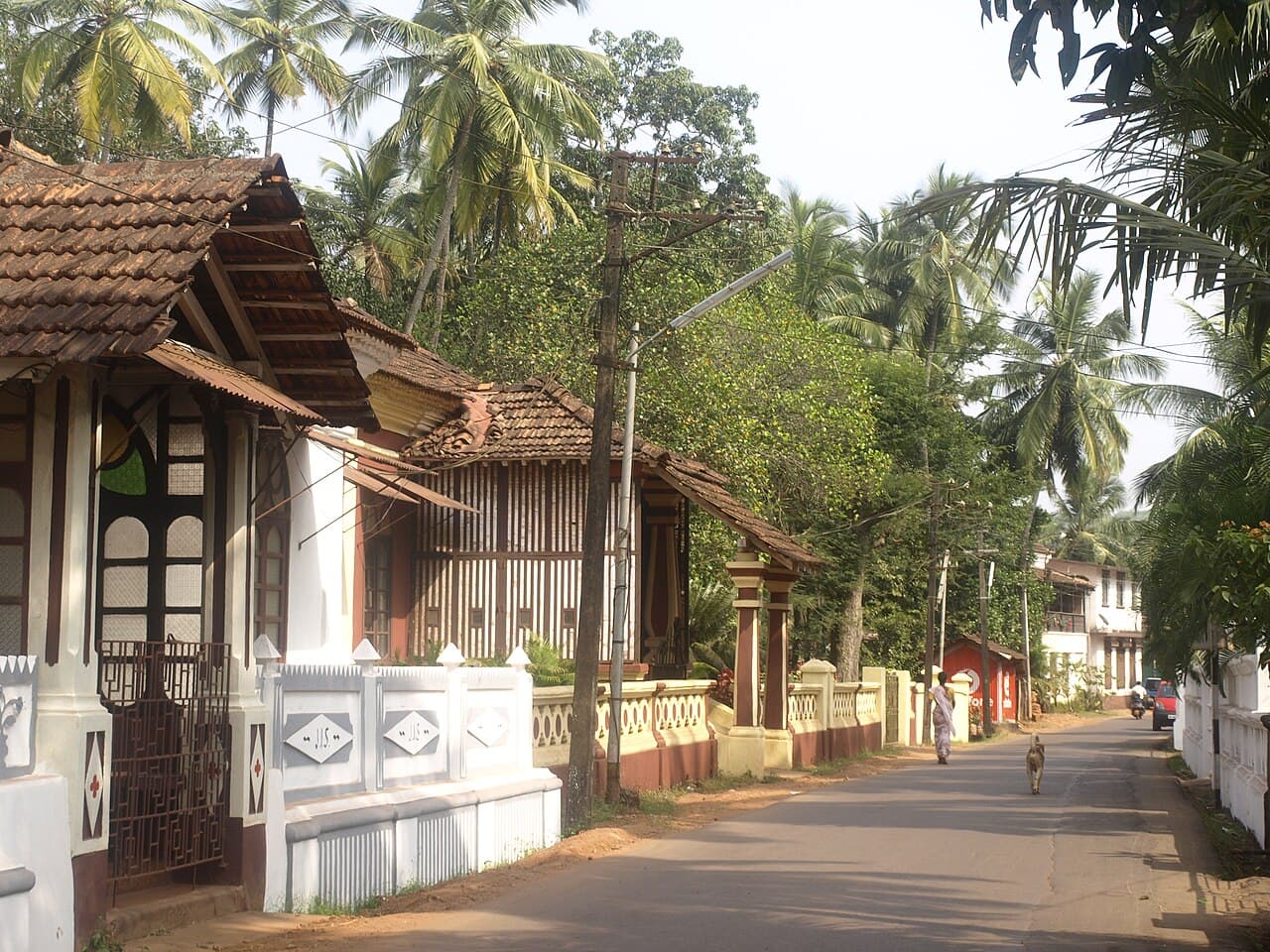 Quiet lane in Saligao past tiled-roof houses and coconut palms, with a person and a dog walking